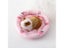 Circular Hamster Bed For Hedgehog Squirrel Mice Rats Guinea Pig Chinchilla Carousel 5
