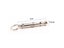 2 Pcs Pet Birds 5.5cm X 0.6cm Size Professional Training Supplies Whistle Carousel 2