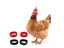 1Pair No Crow Rooster Collar Chicken Collar Noise Free Anti-Hook Neckband Carousel 4