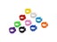 2000 Pcs Bird Clip Ring 8mm Plastic Parrot Pigeons 10 Colors Marking Ring Pet Carousel 4