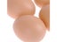 6/12Pcs Plastic Eggs Chicken House Small Fake Eggs Farm Animal Supplies Cages Carousel 4