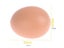 6/12Pcs Plastic Eggs Chicken House Small Fake Eggs Farm Animal Supplies Cages Carousel 5