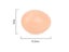 10 Pcs Poultry Hatching Chicken House Fake Eggs Farm Animal Supplies Cages Carousel 7