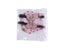 Pet Supplies Washable Nylon Duck Diaper For Chickens Geese Elastic Band Bowknot Carousel 5