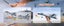 3CH RC Airplane,RC Plane with Night Light,2.4GHz F-22 Remote Control Airplane wi Carousel 3