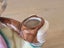 Vintage Japanese Novelty Ceramic ''Smoker'' Ashtray Dutch Man with Pipe Carousel 6