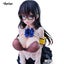 Disciplinary Committee Member 1/6 Scale Carousel 6