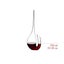 Riedel Vitis Decanter Carousel 2