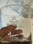 2x Royal New Zealand Air Force Museum Glass Carousel 2