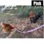 Pet Rabbits Guinea pig Chicken Adjustable Harness Leash *Local STOCK NOW* Carousel 12