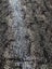 Snake skin sequins fabric 120 cm x 5 metres Carousel 5