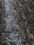 Snake skin sequins fabric 120 cm x 5 metres Carousel 3