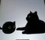 THE CATTAGE - Cutest Black Cat Plush Toy Soooo Soft For Any Occasion Carousel 2