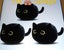 THE CATTAGE - Cutest Black Cat Plush Toy Soooo Soft For Any Occasion Carousel 1