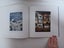 *** Wellington Photographs by Grant Sheehan Text Fiona Kidman *** Carousel 16