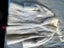 White Mink Coat Carousel 3