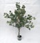 RAPT 1.2M EUCALYPTUS TREE Carousel 1