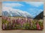 Lupins in Summer, Mount Cook National Park Postcard Carousel 1