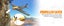 New P-51 Mustang Brushless RC Warbird 500mm Wingspan RTF With 2 Batteries Carousel 3