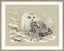 Riolis White Owl - Cross Stitch Kit Carousel 3