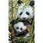 Riolis Panda with Young - Cross Stitch Kit Carousel 1