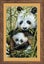Riolis Panda with Young - Cross Stitch Kit Carousel 3