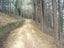gallery view thumbnail