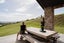 gallery view thumbnail