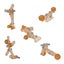 Hape: Junior Inventor - Experiment Starter Kit Carousel 4