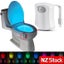 Motion Sensor Toilet Night Light NZ Clearance Carousel 3