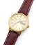 Omega 1972 Geneve Automatic Gold Plated Mens Wristwatch Ref 166.0117 Serviced Carousel 6