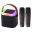 Karaoke Machine for Kids with 2 Wireless Mics, Gifts Toys for Girls Boys, Black Carousel 1