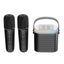 Karaoke Machine for Kids with 2 Wireless Mics, Gifts Toys for Girls Boys, Black Carousel 8