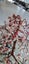 Copper Wire Cherry Tree Art Sculpture PUKEKOHE xmas gift Carousel 4
