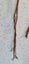 Copper wire spiral stalk green leaves glass beads PUKEKOHE xmas gift Carousel 6