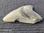 Megalodon Fossil Shark Tooth - 112.1mm / 4.4" Carousel 6