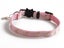 Cat Collar - Moon & Stars Carousel 8