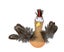 Loading Image 1 of 1