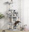 CAT TREE - B Carousel 3