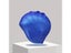 Silicone Swimming Cap With Ear Pockets For Adults Teens High Elasticity Carousel 1