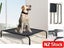 PTN NEW Dog Bed Sale Sale Carousel 5