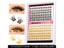 Lashes Clusters Set Lash Bond Seal Lash Applicator Tool Carousel 1