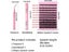 DIY Eyelash Extension Kit 200pcs Individual Lashes Cluster 40D60D 8-16mm Mix Carousel 3