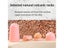 Facial Oil Absorber Porous Volcanic Stone Oil-absorbing Ball Facial Carousel 2