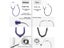 Dual Head Medical Stethoscope For Doctor Nurse Vet Carousel 5