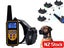 PTN NEW Dog Training Collar Sale Sale Carousel 13