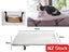 PTN NEW Cat Bed Sale Sale Carousel 1