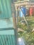 Set of 4 finch show cages Carousel 5