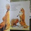 HOMESICK FOR AUSTRALIA? AUSSIE BULK BOOK BUNDLE x 14 Carousel 2