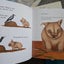 HOMESICK FOR AUSTRALIA? AUSSIE BULK BOOK BUNDLE x 14 Carousel 8